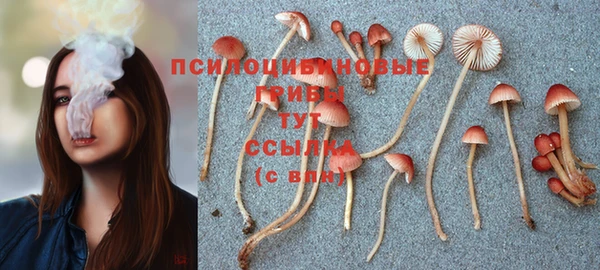 эйфоретик Беломорск