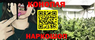 шишки Нальчик