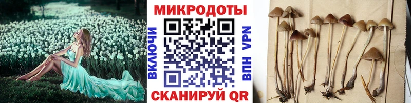 Галлюциногенные грибы мухоморы  Верхний Уфалей 