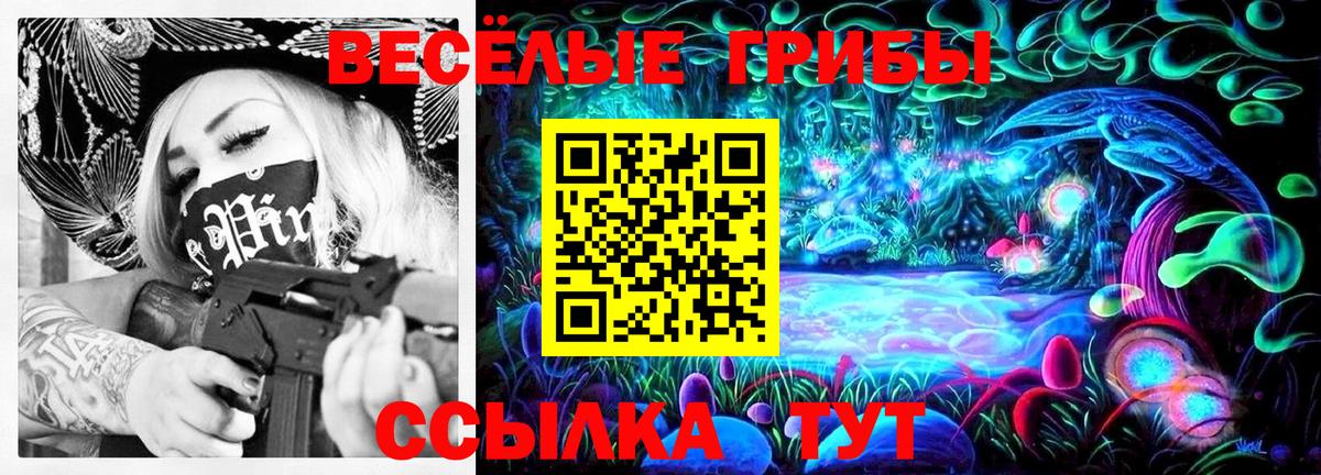 Галлюциногенные грибы прущие грибы Верхний Уфалей
